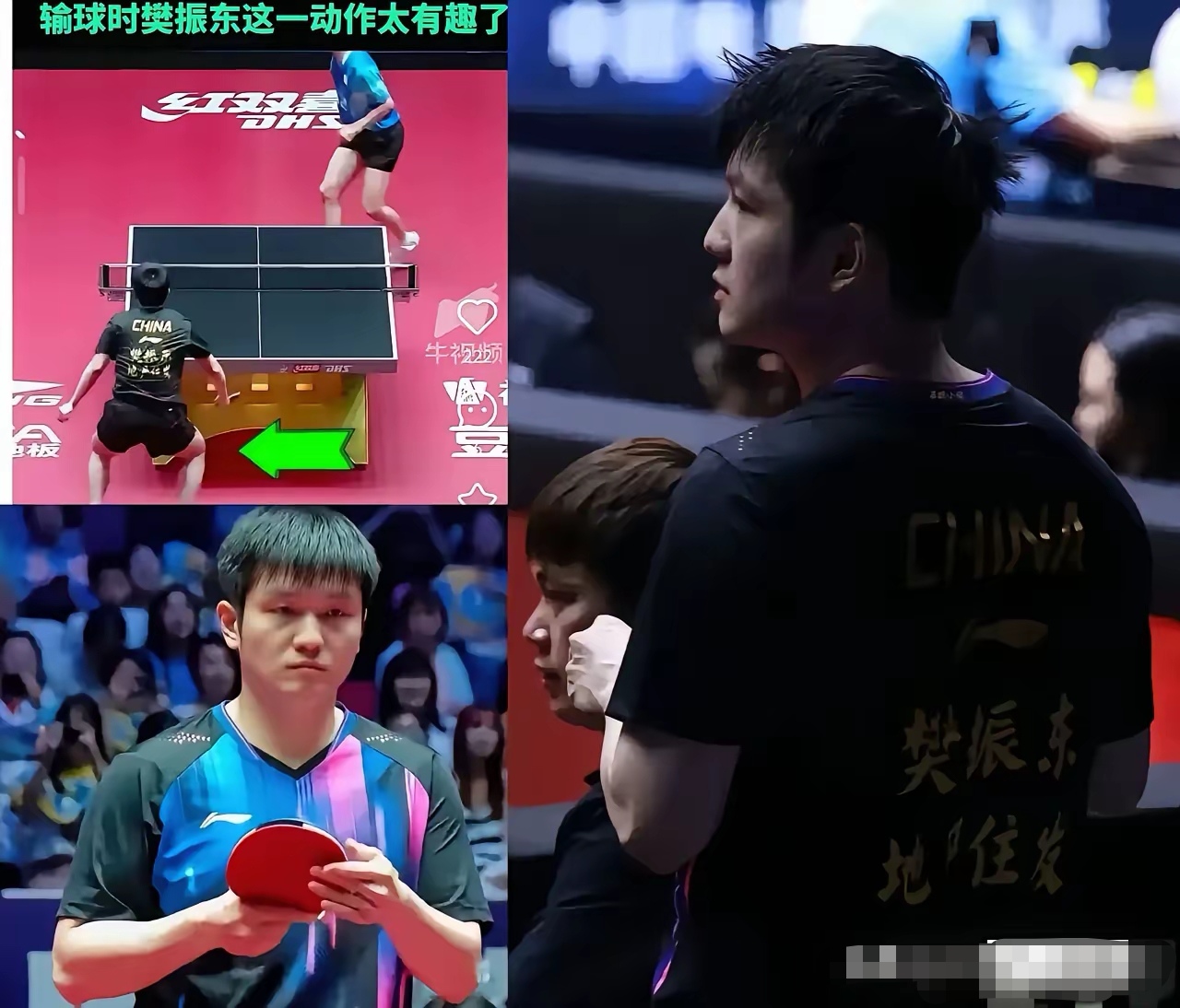 韩国乒乓球队横扫德国乒乓球队，樊振东送出助攻的简单介绍