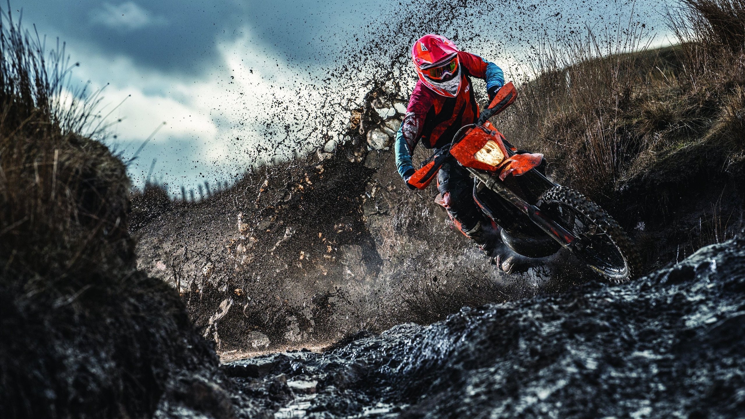 跨界之战,当范弗利特在欧冠接管,太阳与篮网的鏖战已成另一种传奇